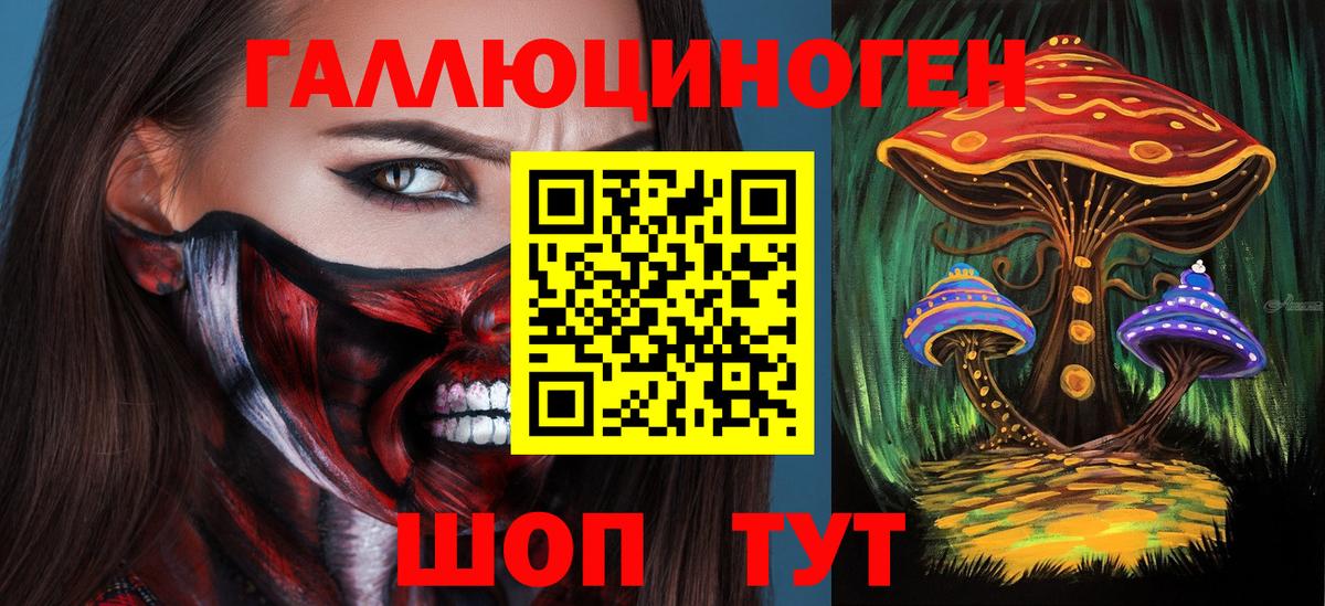 Галлюциногенные грибы Psilocybine cubensis  Вход с VPN  Майский 